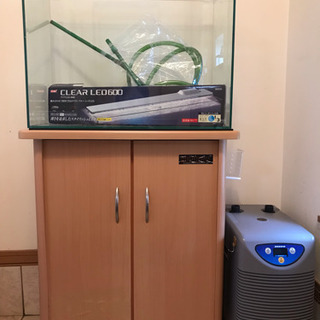 熱帯魚 水槽一式