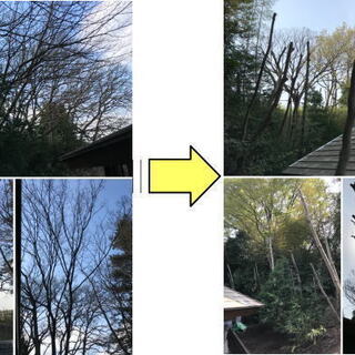 背が高くなりすぎた植木 庭木を根本からご希望の高さから伐採 高木は特殊伐採 気軽に頼める植木師 対応地域内見積もり無料 身分証 電 あき 鶴ヶ峰のその他の無料広告 無料掲載の掲示板 ジモティー