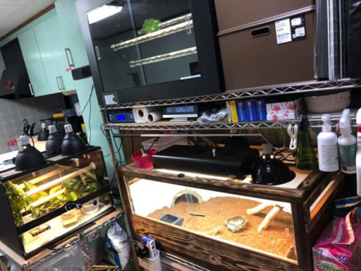 ※決まりました※ 爬虫類特注ケージ 再値下げ¥35000→¥25000→¥20000!