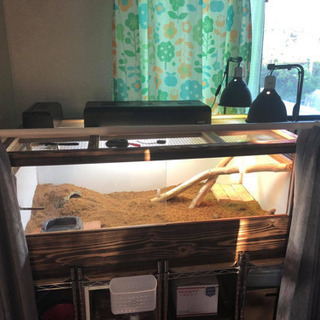 ※決まりました※ 爬虫類特注ケージ 再値下げ¥35000→¥25000→¥20000!