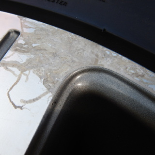 ニュービートル純正　16インチ　スタッドレス付き　ゴルフ、ボーラにも！