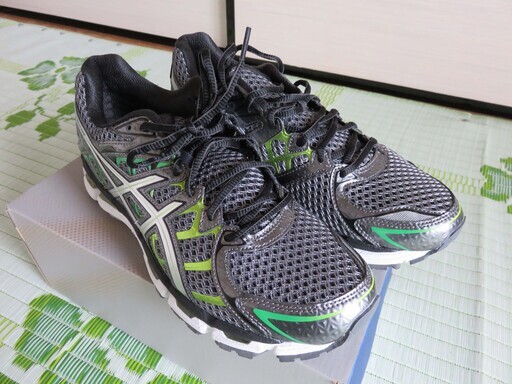 asics surveyor 2