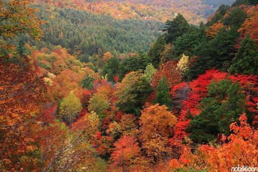 1から学び安全にアルプス八ヶ岳に挑戦 参加メンバー会員登山仲間2021年度夏季の会員募集プロガイド同行で高尾山などの低山の登山入門からアルプ Kantmtguid 町田のスポーツのメンバー募集 無料掲載の掲示板 ジモティー