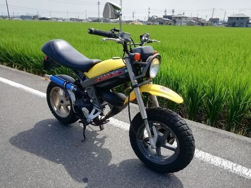 ストマジ  トレール風カスタム