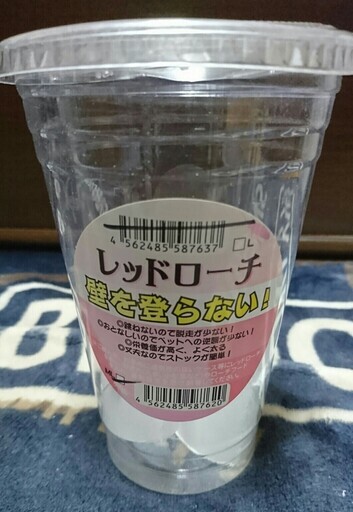 ついに再入荷 お取り寄せ 3 4営業日 餌昆虫 レッドローチs 1000匹 き 冬季航空便地域発送 活餌 爬虫類 両生類 小動物 バーゲン Www Centrodeladultomayor Com Uy ついに再入荷 お取り寄せ 3 4営業日 餌昆虫 レッドローチs 1000匹 き 冬季航空便地域発送 活餌 爬虫類 両生類 小動物 バーゲン Www Centrodeladultomayor Com Uy