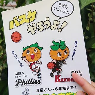 🏀ミニバス『柿生レッズ(男子)&フィリーズ(女子)』メンバー大募集！🏀