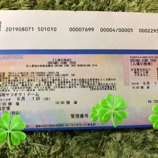 値下げ❗️緊急！ドリカムワンダーランドチケット