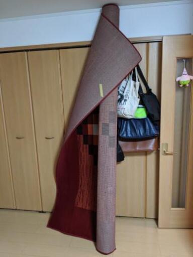 カーペット　ラグ　ベルギー製　240cm✕330cm　新古品