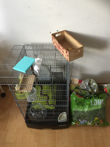 デグー 飼育セット 値下げしました。