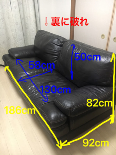 昆虫を見る 健全 トロリーバス ニトリ ソファ 合 皮 ボロボロ Fishing Japan Org
