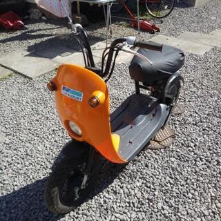 スズキチョイノリ[購入者様決定]