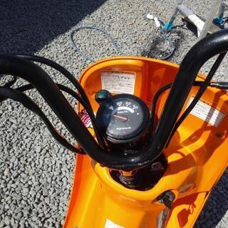 スズキチョイノリ[購入者様決定]