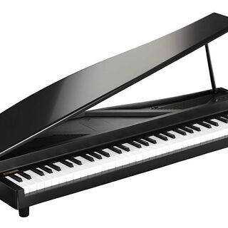 KORG Micro Piano with stand