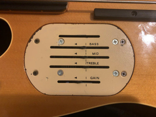 Godin ゴダン フレットレスベース