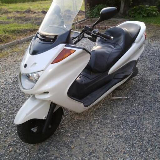 マジェスティー250  値下げ 値引き交渉可❗ヤマハ マジェスティー250 【公式通販】