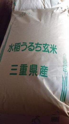 もっちもちの1等級新米コシヒカリ❗令和元年コシヒカリ玄米100％30キロ