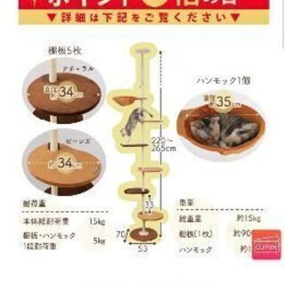 キャットタワー9月3日購入の新品