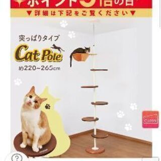 キャットタワー9月3日購入の新品