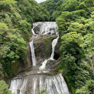 石巻で悲嘆療法(グリーフセラピー)