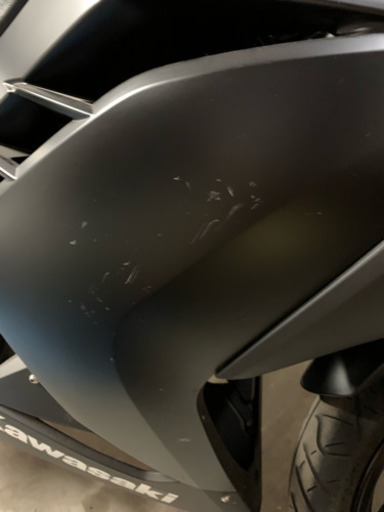 ニンジャ250 2014年式 マットブラック業者塗装 スクリーン艶消し黒塗装