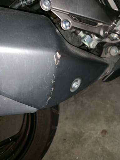 ニンジャ250 2014年式 マットブラック業者塗装 Ninja 250/Special