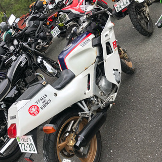 FZR250
