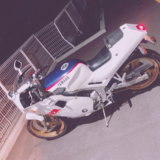 FZR250