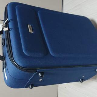 布製 スーツケース 小型