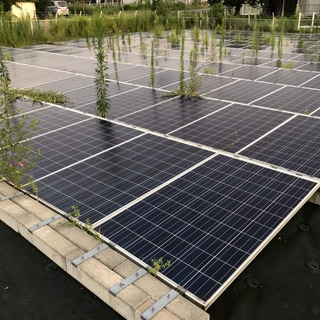 【急募】太陽光発電所の草刈り業務