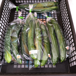 ゆうしん野菜販売100円🍀(* ॑ω ॑*  ) − 鹿児島県