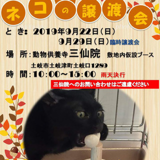 土岐市保護ねこ譲渡会