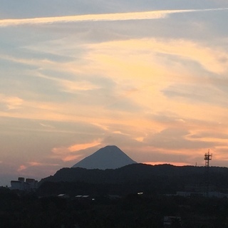 無料心理カウンセリングやってます！ 