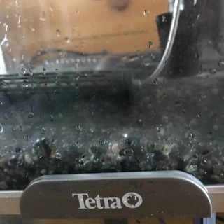 テトラ水槽セット
