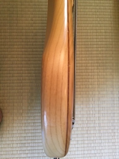 HALIBUT-ASH 5弦ベース 画像追加