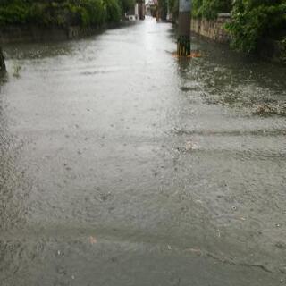令和元年8月末の佐賀県豪雨で洗濯機が水没してしまいました。どなた...