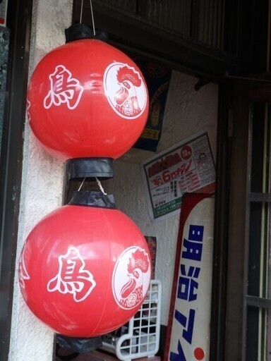 金鳥 提灯 ナイロン製 ぼんぼり 希少 昭和レトロ ディスプレイ イベント用品 店舗用品