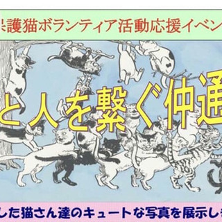 水戸市泉町仲通り商店街祭り 猫と人を繋ぐ、猫の輪づくり
