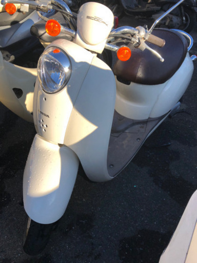 HONDA  スクーピー  実働  福岡市南区