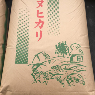 値下げ！令和4年！キヌヒカリ！新米！１俵（６０kg）