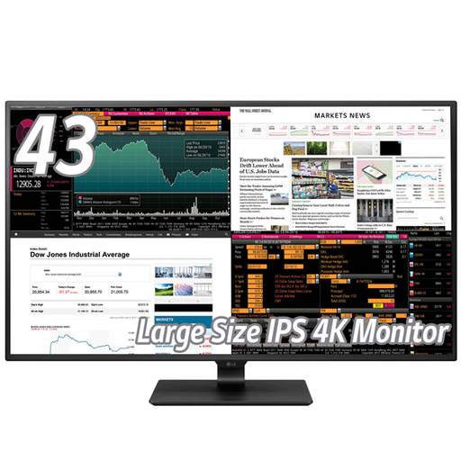 LGエレクトロニクス 43UD79-B [42.5型 IPS 4Kモニター（3840×2160） PIP/4画面PBP対応 リモコン付き]