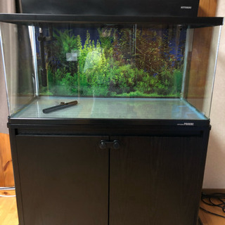 90㎝水槽（曲げガラス）➕水槽台セット‼️