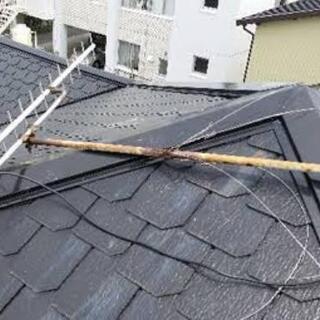 【応急処置します！】台風や突風、大雨などによる被害でお困りの方 − 東京都