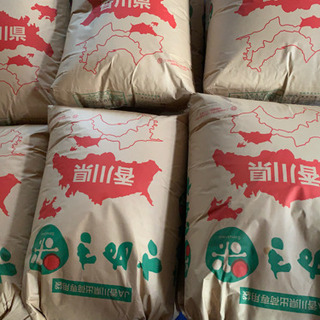 新品種令和４年キヌムスメ新米玄米３０キロ　無農薬　