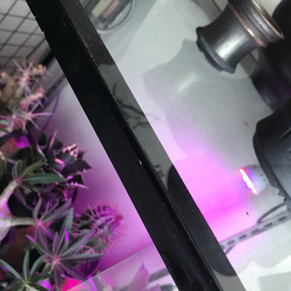 ガラスケース 植物温室