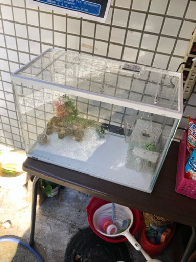 金魚水槽lサイズ ヒロ 萱島のその他の中古あげます 譲ります ジモティーで不用品の処分