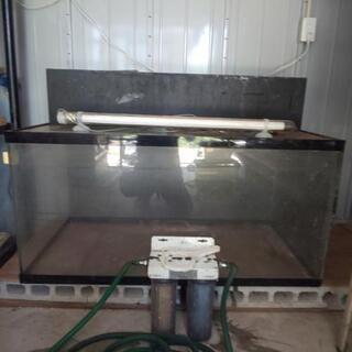 楽天市場】120×60×60 アクリル水槽 白底(10t) : 熱帯魚の