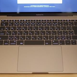 Apple MacBook Pro (13-inch, 2016, 2 TBT3) 16GB 512GB 　+　ACアダプタ　ワンオーナー 中古美品