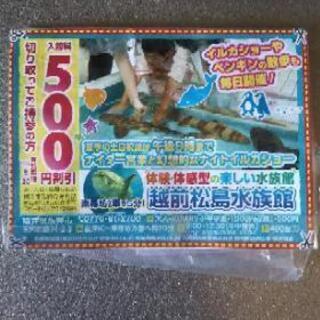 越前松島水族館の割引券 3枚