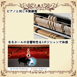 決算セール！　新品展示品特価！電子ピアノ　カシオGP-510　最高峰電子ピアノ　ドイツ　ベヒシュタイン　コラボ