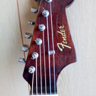 売り切れ！(限定品)FENDER 『タイヨウのうた』 雨音薫モデル 【公式通販】